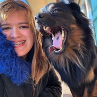 Têm uma mascota? 🐕 - 1