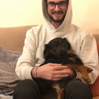Têm uma mascota? 🐕 - 2