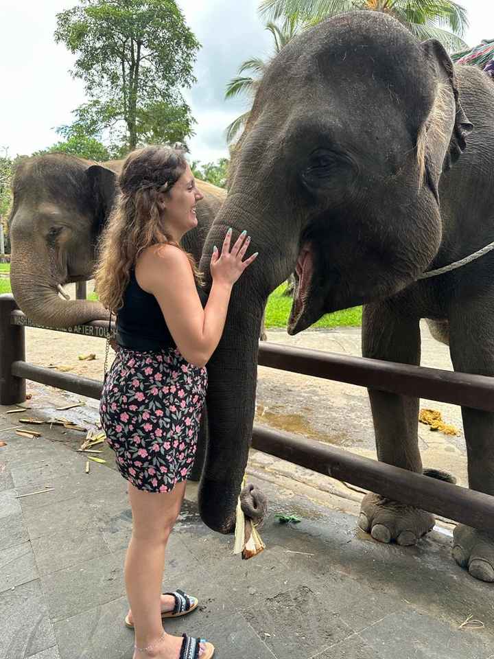 Lua de mel 🌸 Bali 🇮🇩 - 20