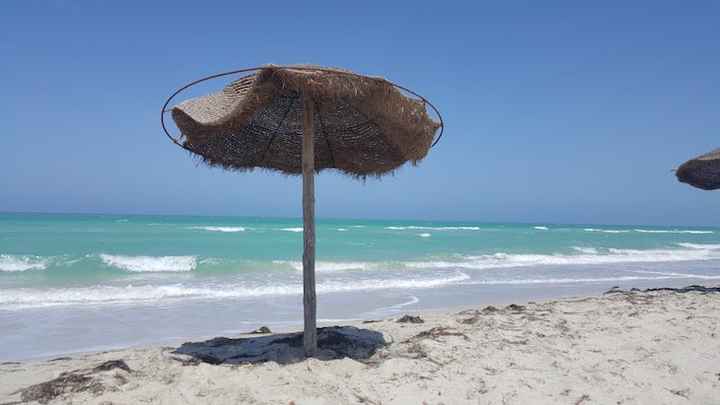 lua de mel confirmada ♡ - 1