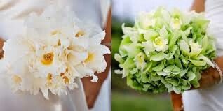 Flores - 9