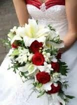Flores - 14
