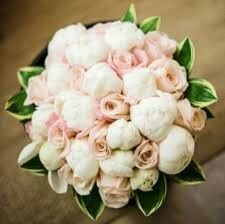 Flores - 18