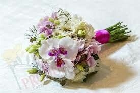 Flores - 23