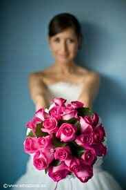 Flores - 16