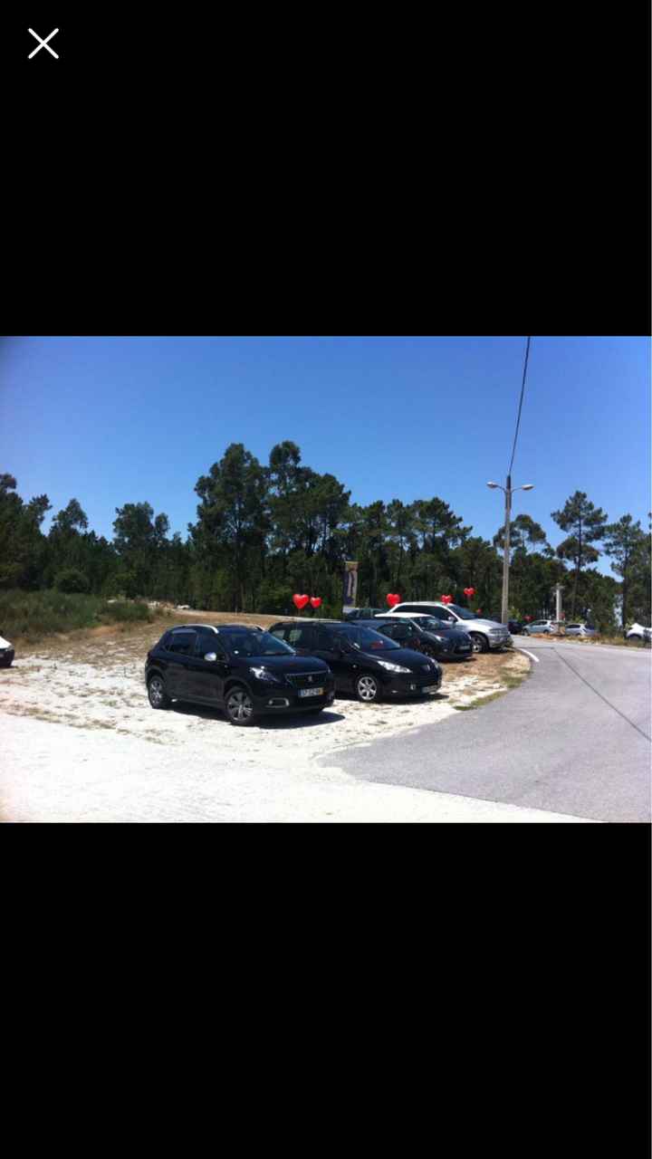 o que entregar aos convidados para colocarem nos carros?? - 2