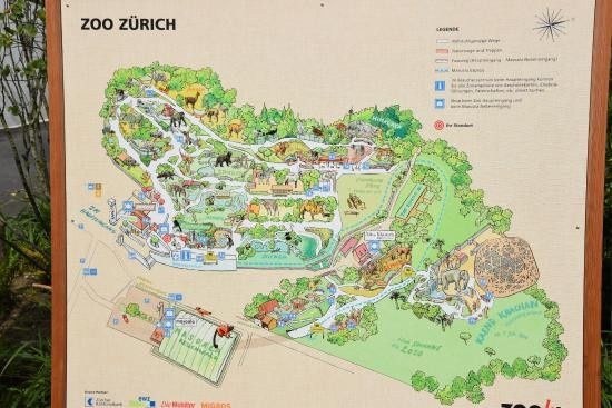 Descobre tudo sobre Zurique - um destino diferente para uma lua-de-mel ⭐😍 20