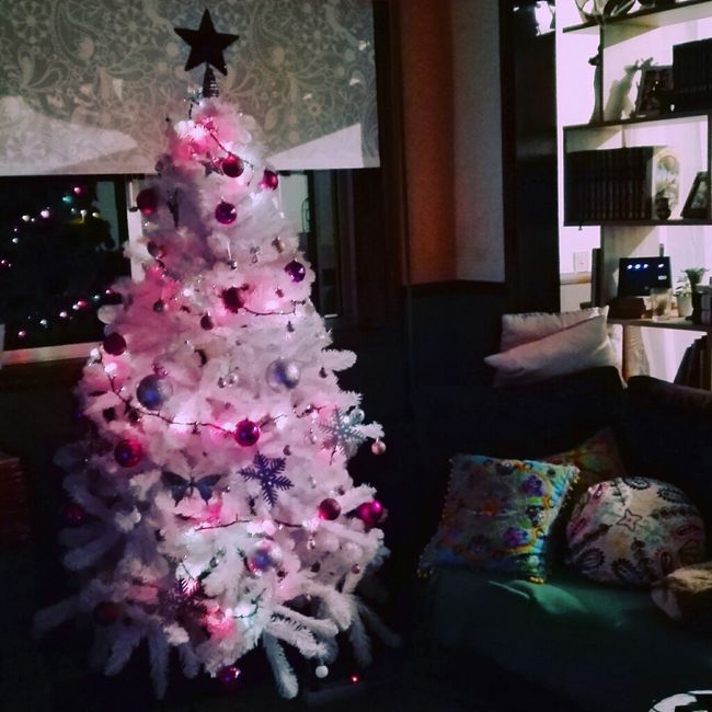 Já fizeram a vossa Árvore de natal? - 1