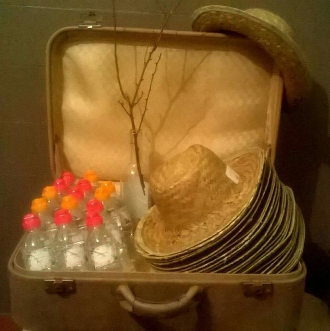 Mala de viagem vintage para chapeus e garrfas de agua - check - 1