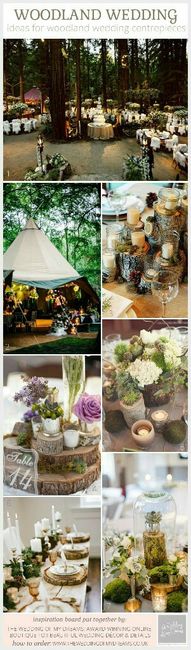 Woodland wedding - 3