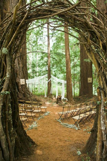 Woodland wedding - 9