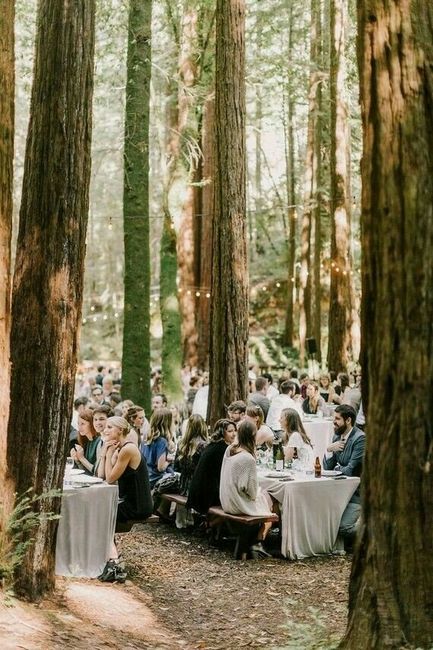 Woodland wedding - 12