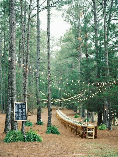 Woodland wedding - 14
