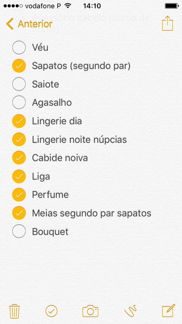Organização e checks (a 205 dias) - 5