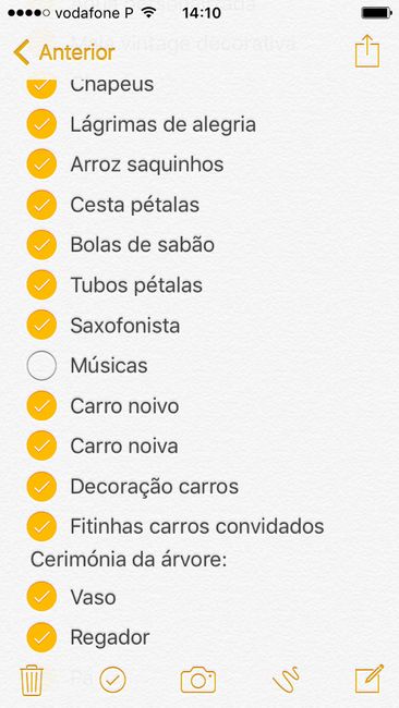 Organização e checks (a 205 dias) - 7