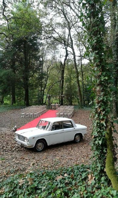 Casamento na floresta - 2