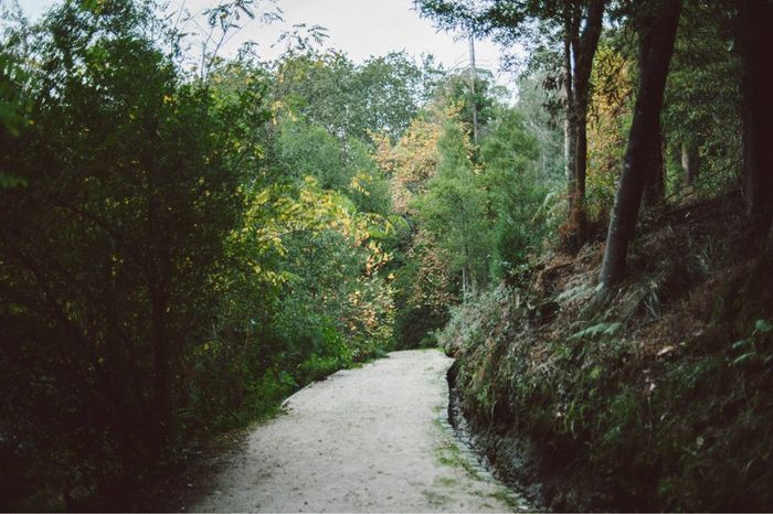 A nossa quinta (iii) - 11