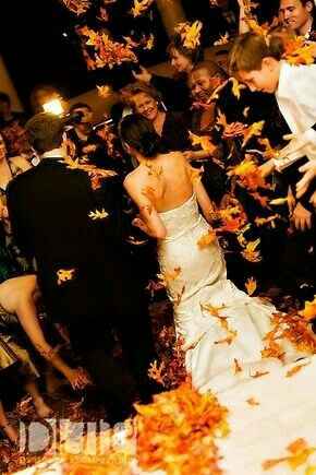 Confettis e outros - 7