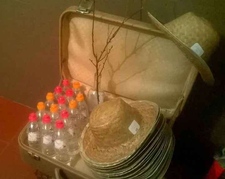 Mala de viagem vintage para chapeus e garrfas de agua - check - 2