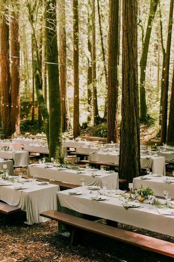 Woodland wedding - 11
