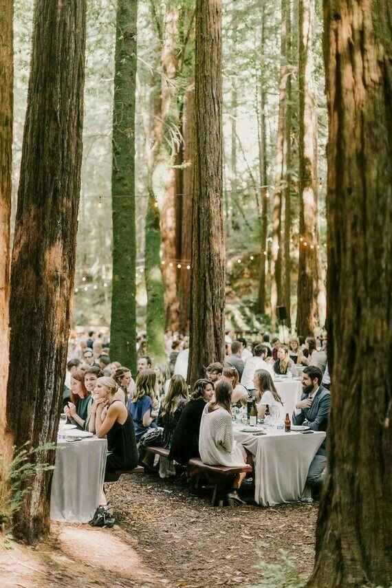 Woodland wedding - 12