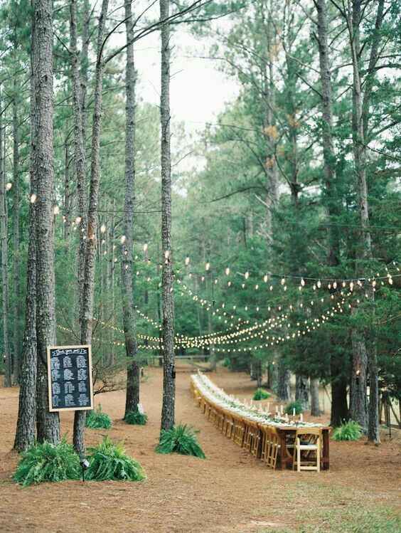 Woodland wedding - 14