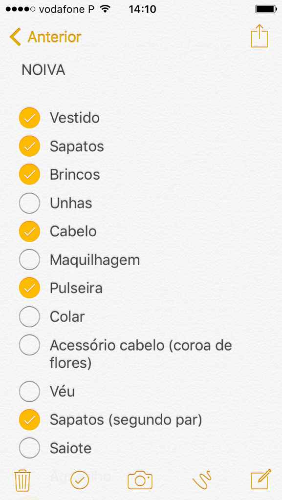 Organização e checks (a 205 dias) - 4