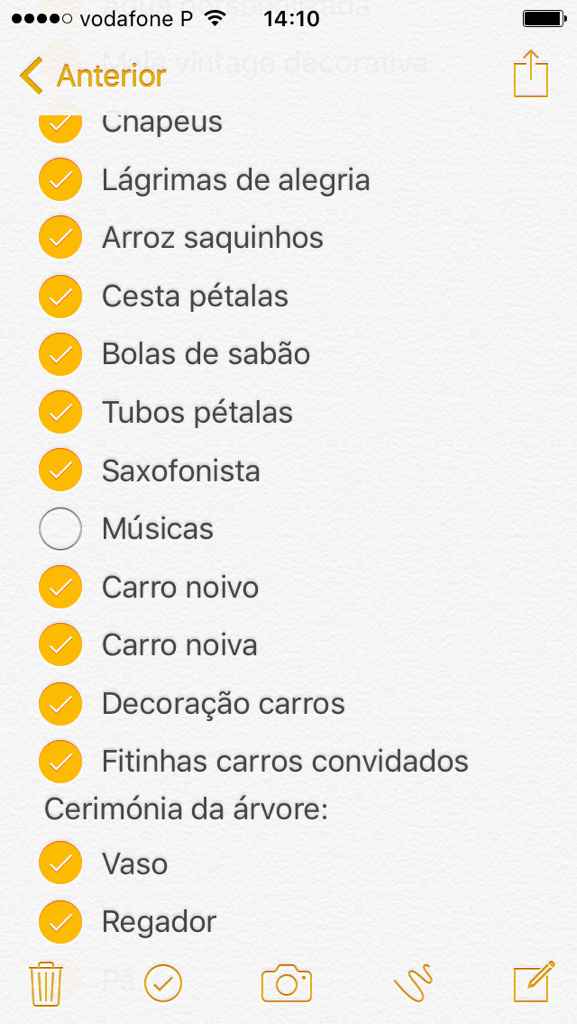 Organização e checks (a 205 dias) - 7