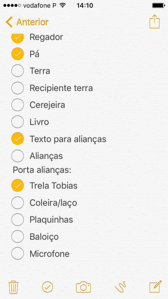 Organização e checks (a 205 dias) - 8