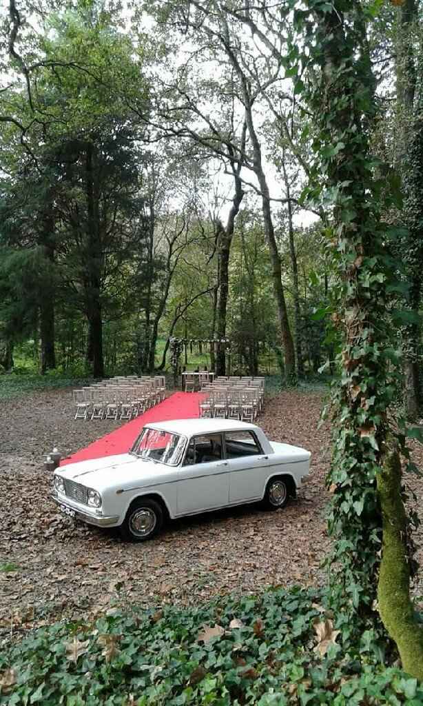 Casamento na floresta - 2