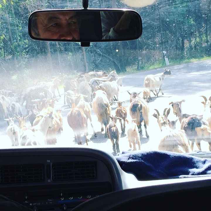 Degustação -check!! - 5
