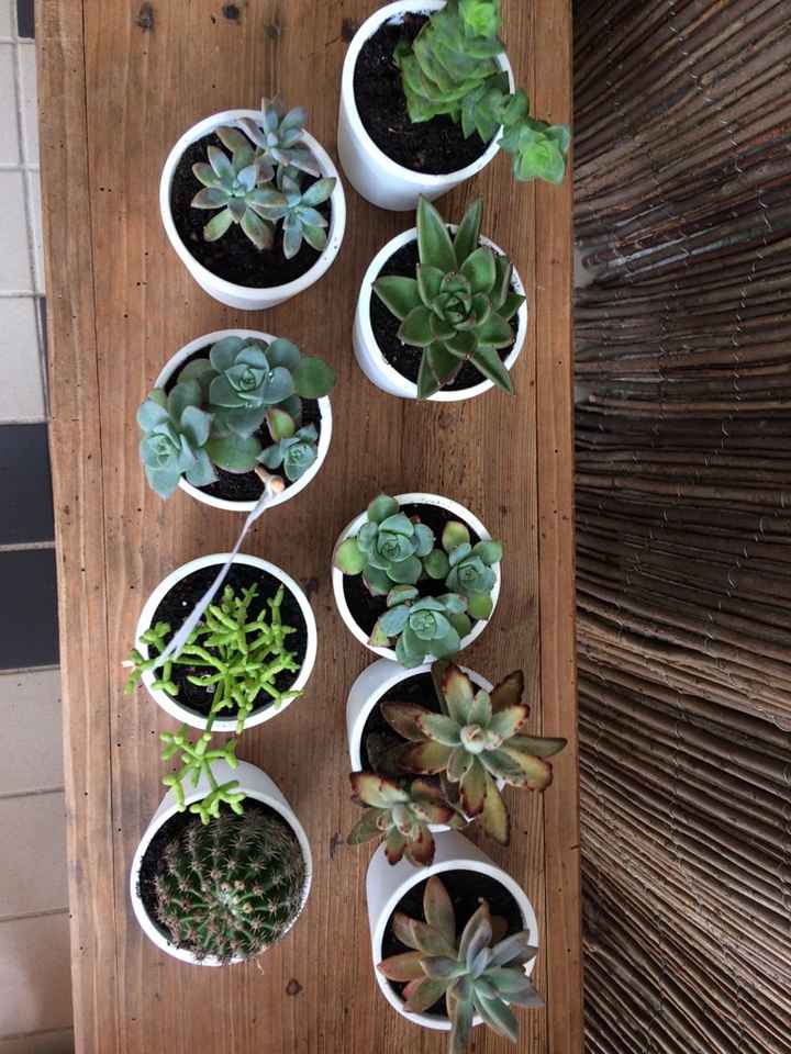 As primeiras lembranças ❤️ - 3