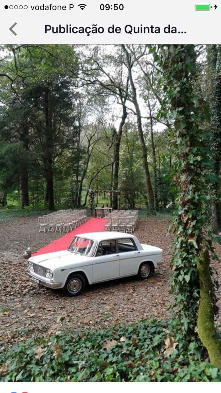 Bosque ou floresta - onde encontrar um lugar mágico para casar? - 1