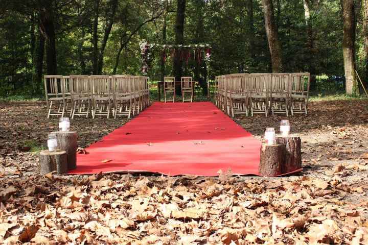 Bosque ou floresta - onde encontrar um lugar mágico para casar? - 3