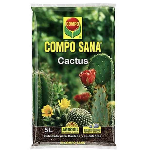 Propagação de suculentas - 5