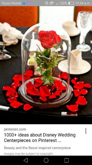 Cláudia: apresento-me :) - 2