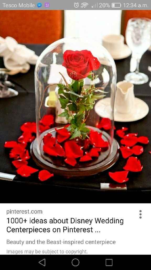 Cláudia: apresento-me :) - 2