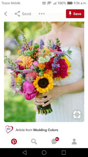 Alguns dos meus checks! - 25