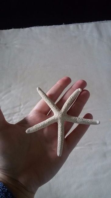 Estrela