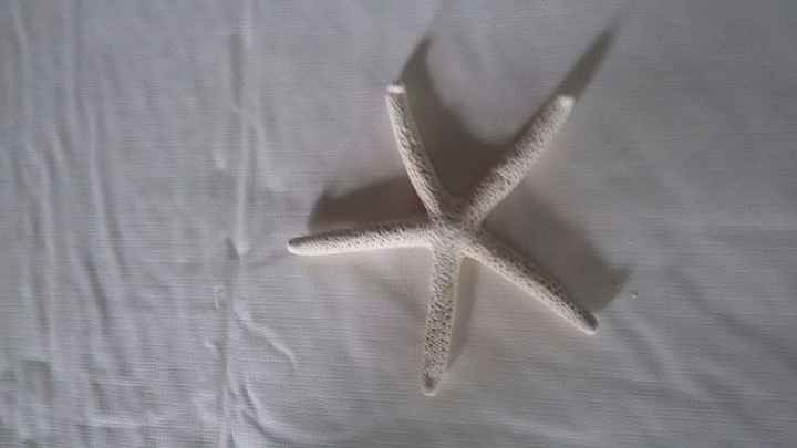 Estrela