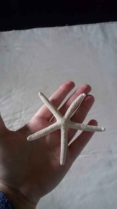 Estrela