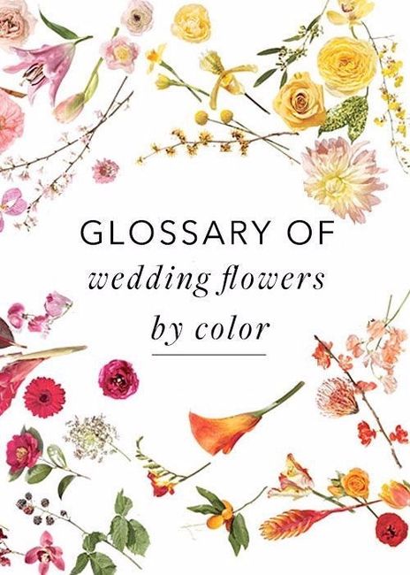 glossário de flores para casamento, por cores
