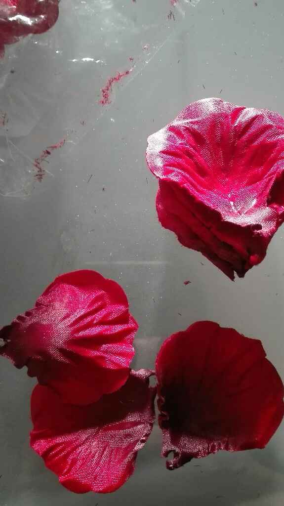 a 154 dias - As pétalas - 1