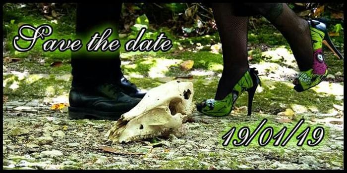 Os meus checks a 213 dias - 5