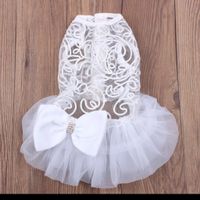 2 looks para o animal de estimação das alianças: qual vence a batalha? - 1