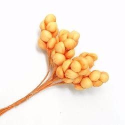 espigas