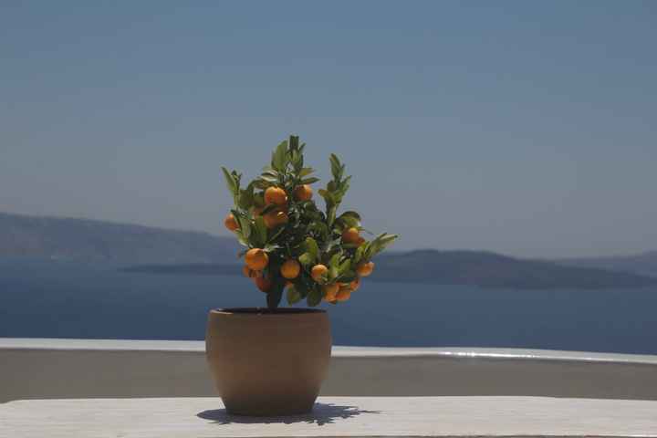 As ilhas gregas de Santorini, Folegandros e Milos - 6