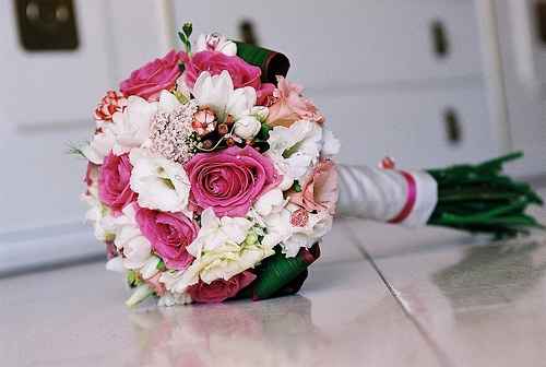 rosas lindas