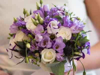   lilas          