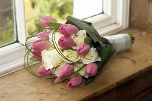 tulipas 